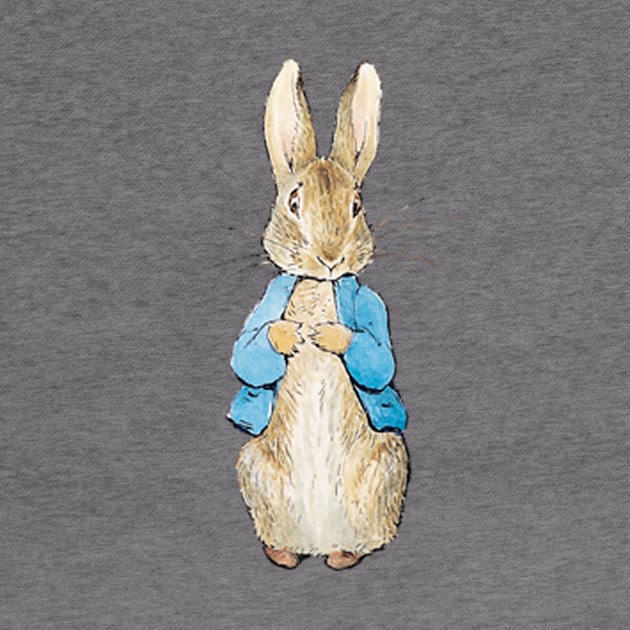 Peter Rabbit by Bundjum